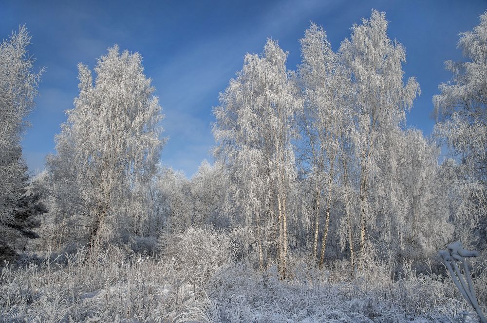 Photograph by АНДРЕЙ АБАКУМОВ