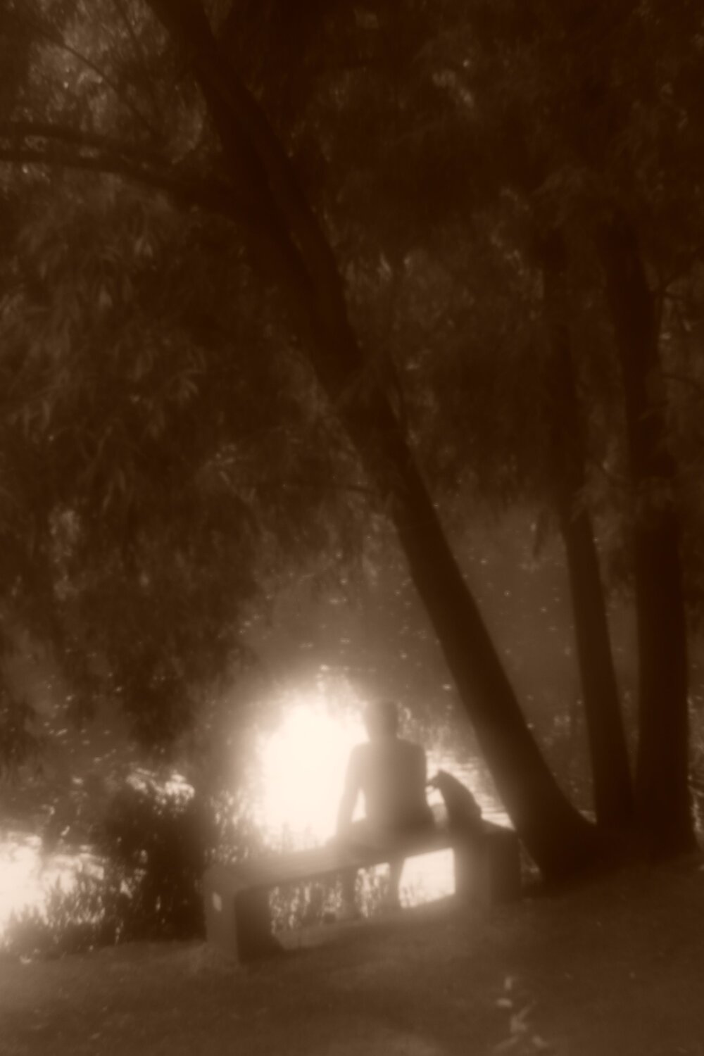 Photo #8594515