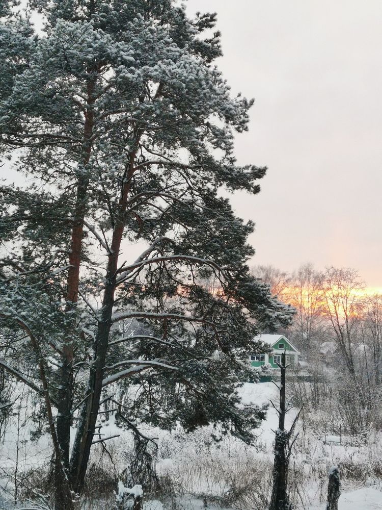 Зимний город