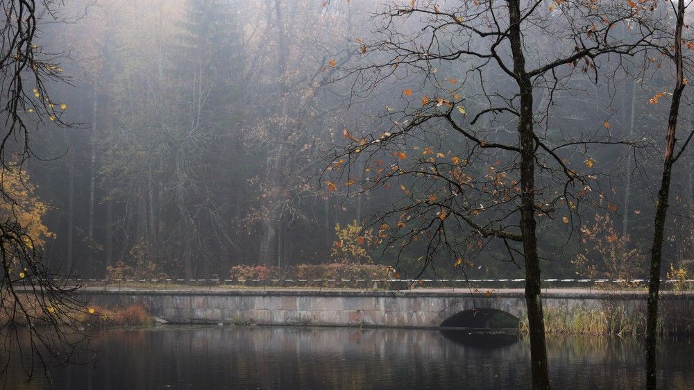 Photograph by Ярослав Думчев