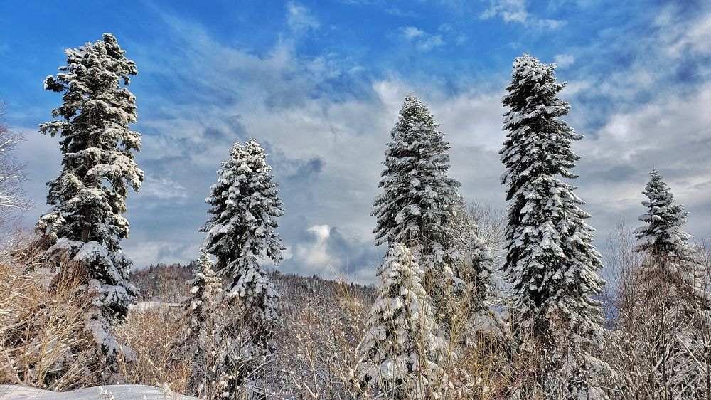 Photograph by Сергей Кравченко