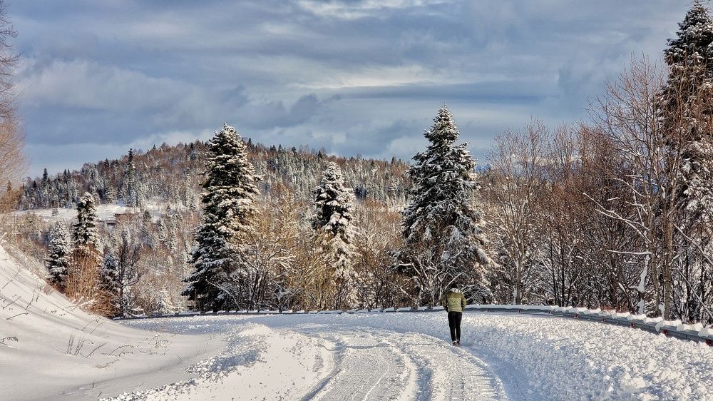 Photograph by Сергей Кравченко
