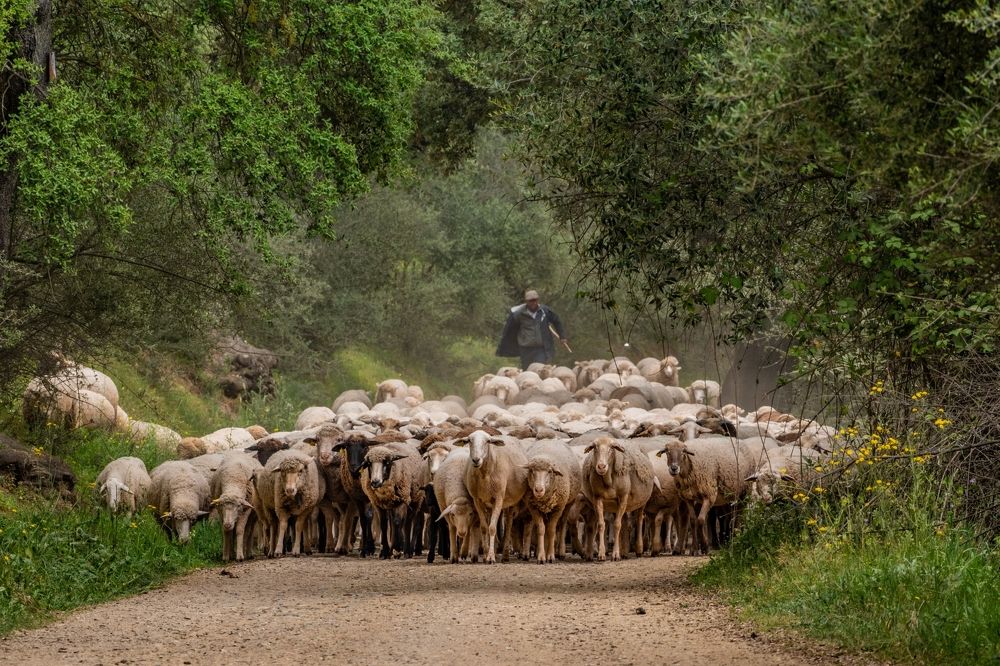Photograph by Francisco José López Fernández