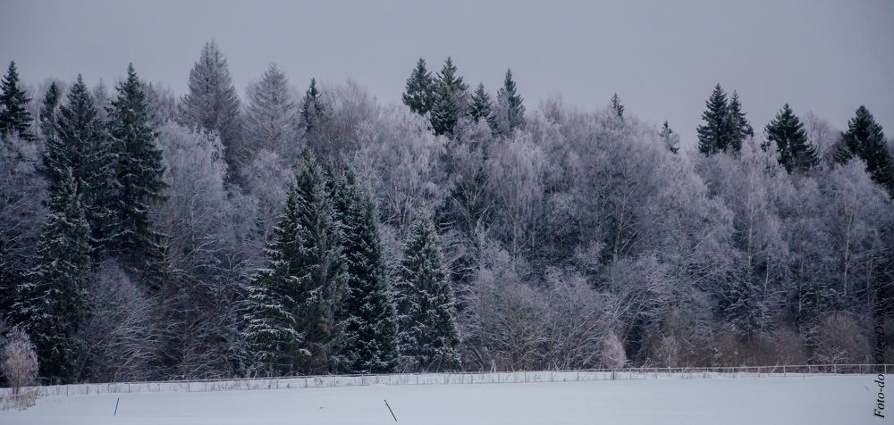 Photograph by Ольга Заповедная