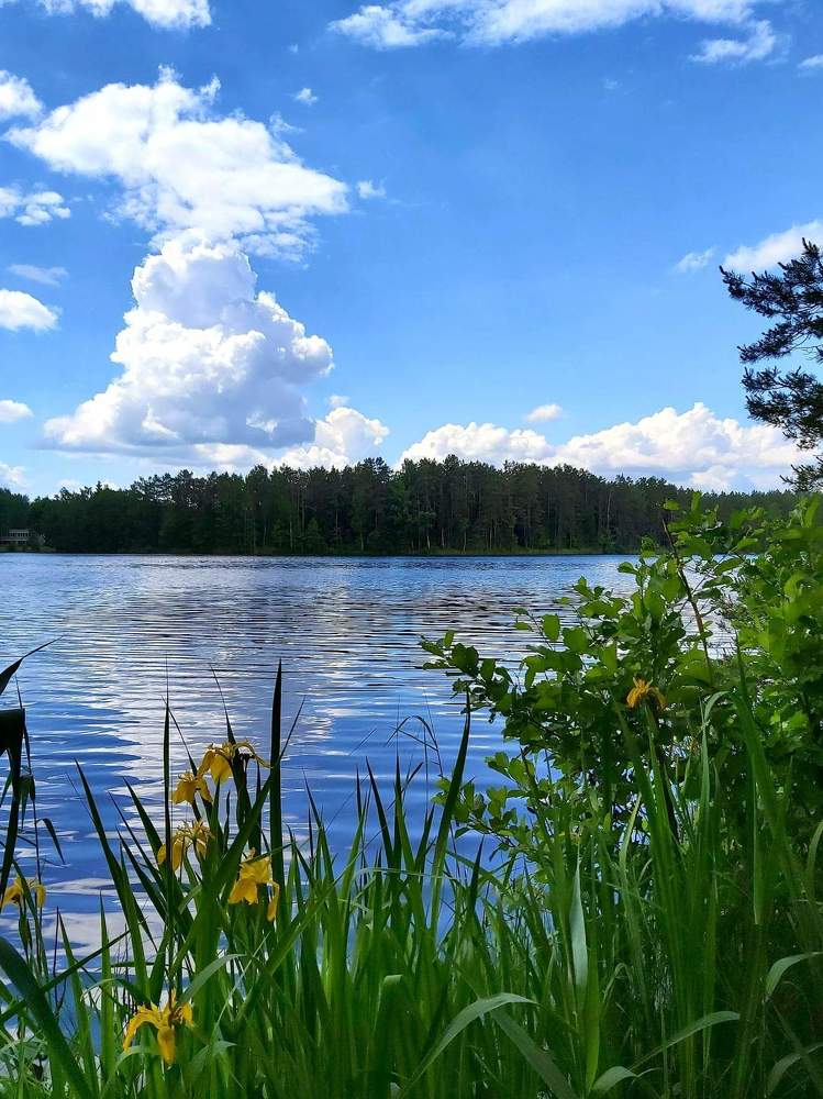 Photograph by Алена Ходатович