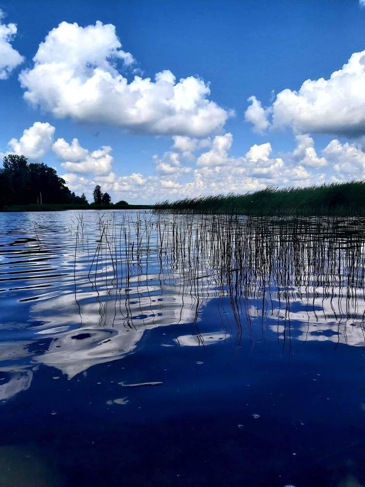 Photograph by Алена Ходатович