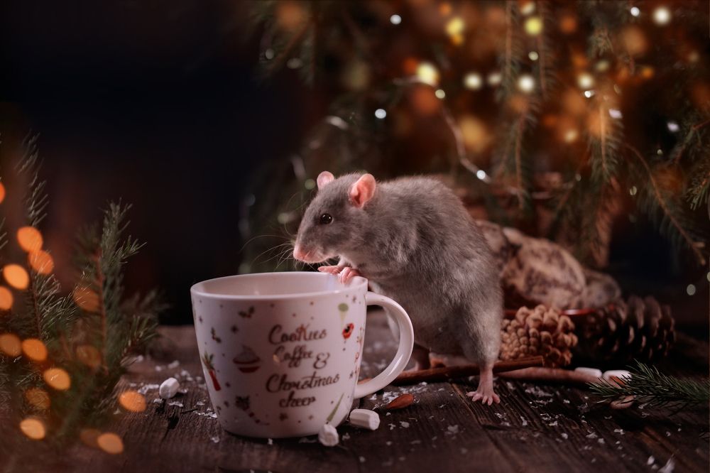 Photograph by Екатерина Морозова