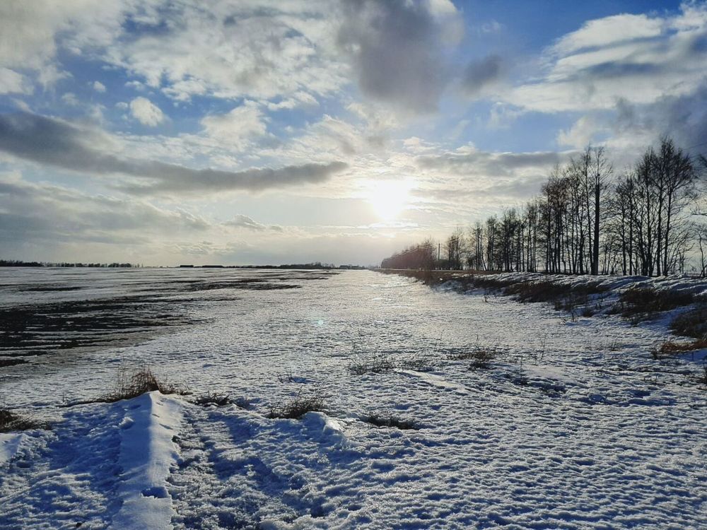 Photograph by Елизавета Карюченко