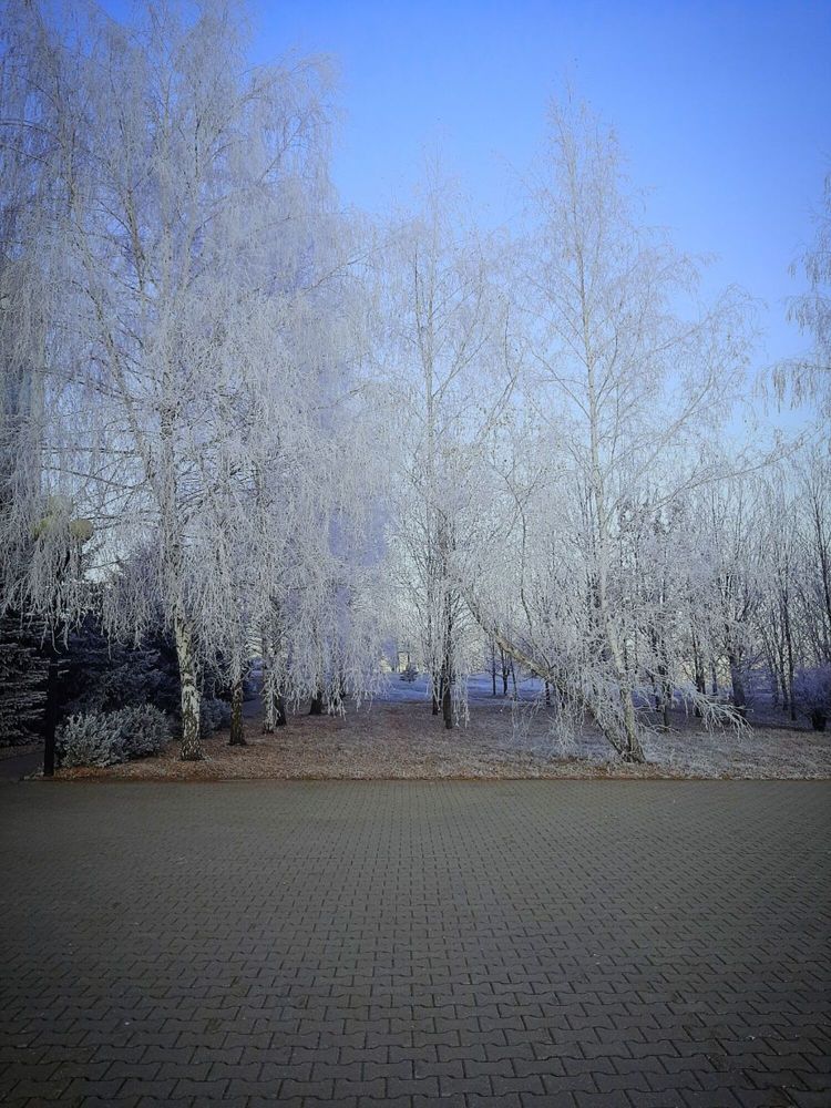 Photograph by Елизавета Карюченко