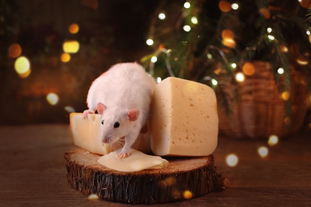 Photograph by Екатерина Морозова