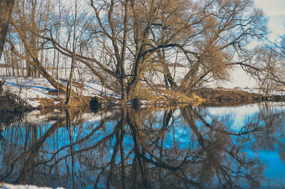 Photograph by Елена Копылова