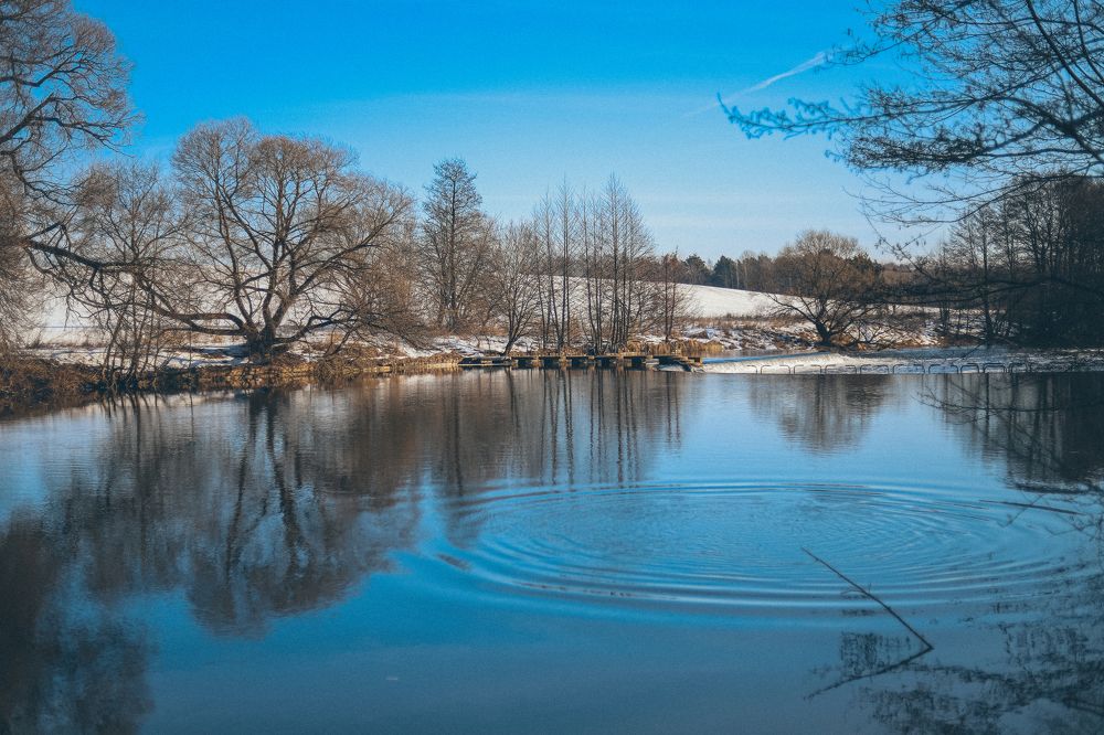 Photograph by Елена Копылова