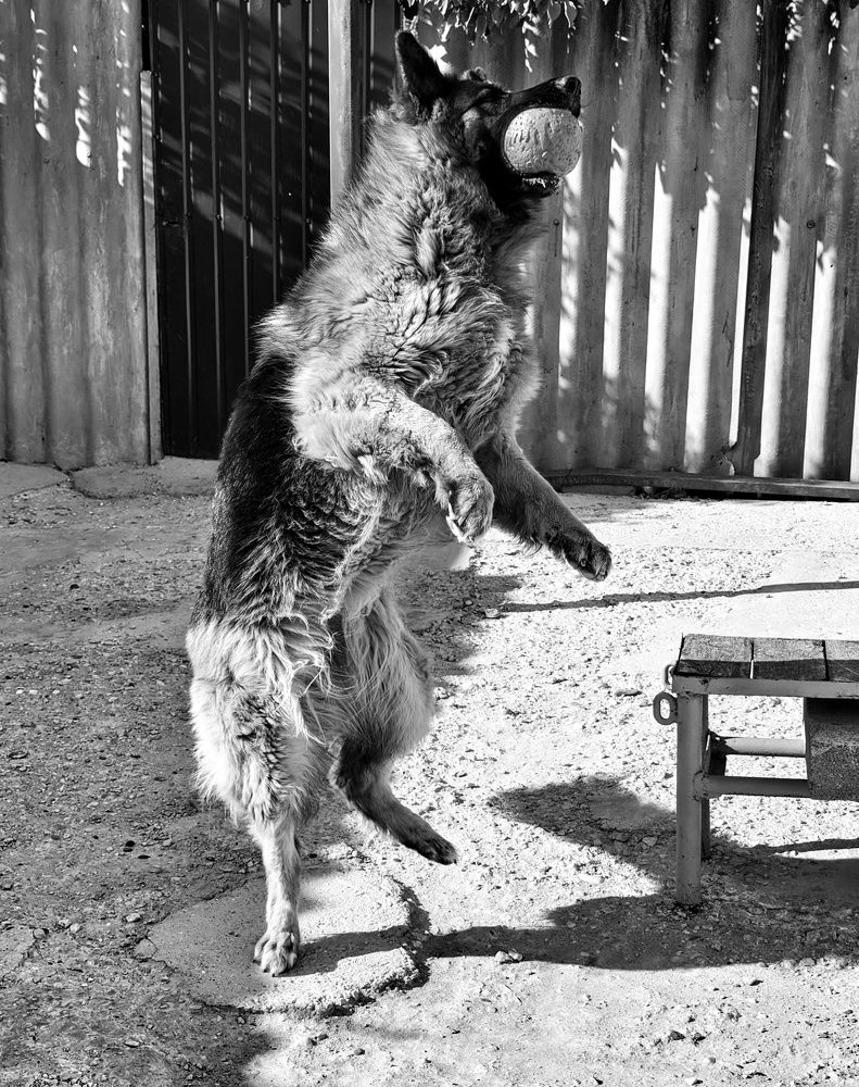 Photograph by Дмитрий Леонтенко