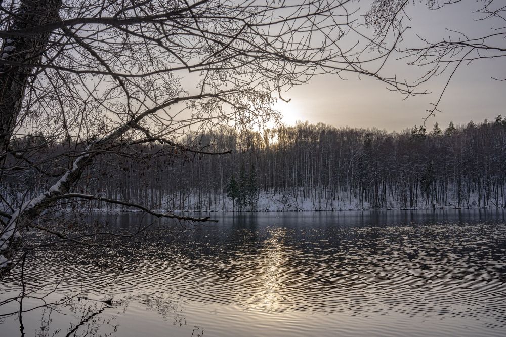 Photograph by Ксения Илюшина