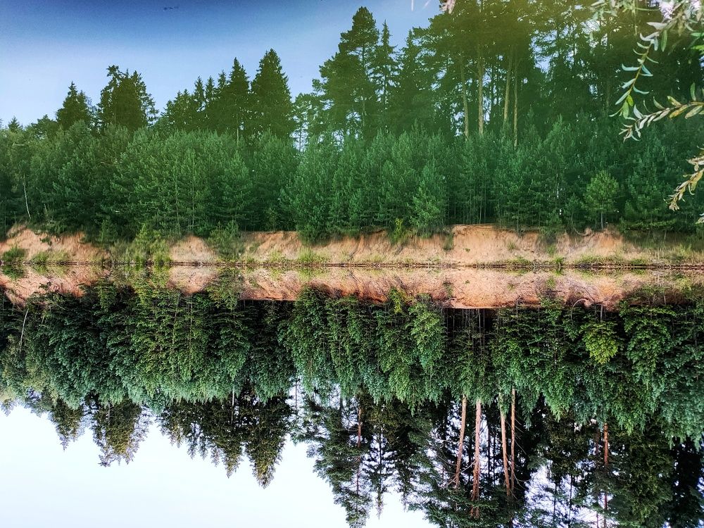 Photograph by Elena Novikova