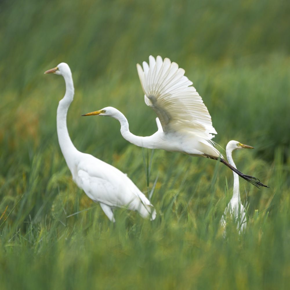 Photograph by Sonnadara Kushan Madushanka