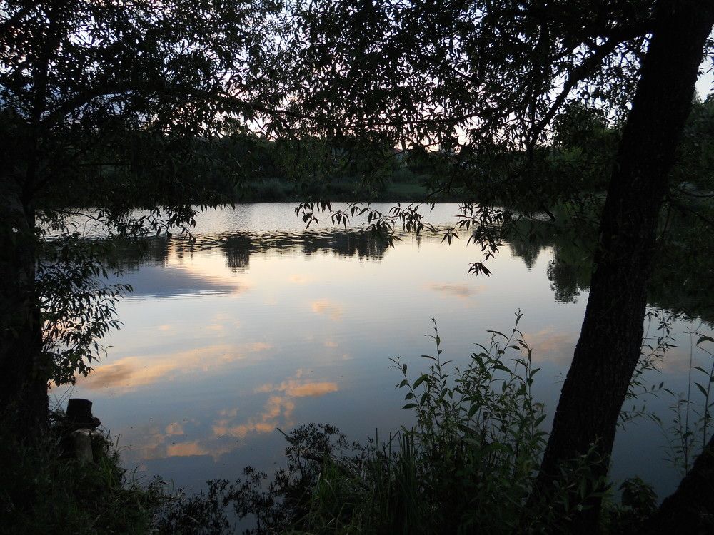 Photograph by Алина Байчурина