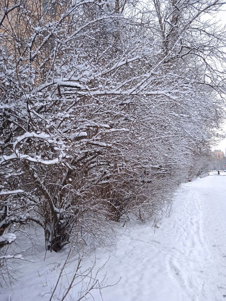 Photograph by Наталия Колемасова