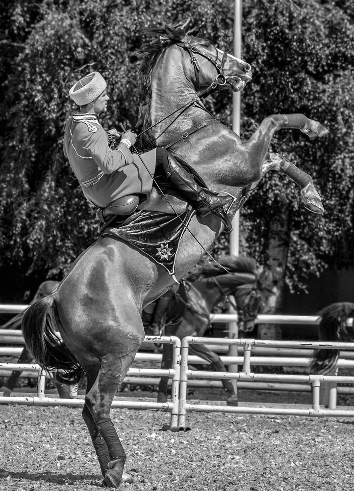 Кремлевская Школа Верховой Езды