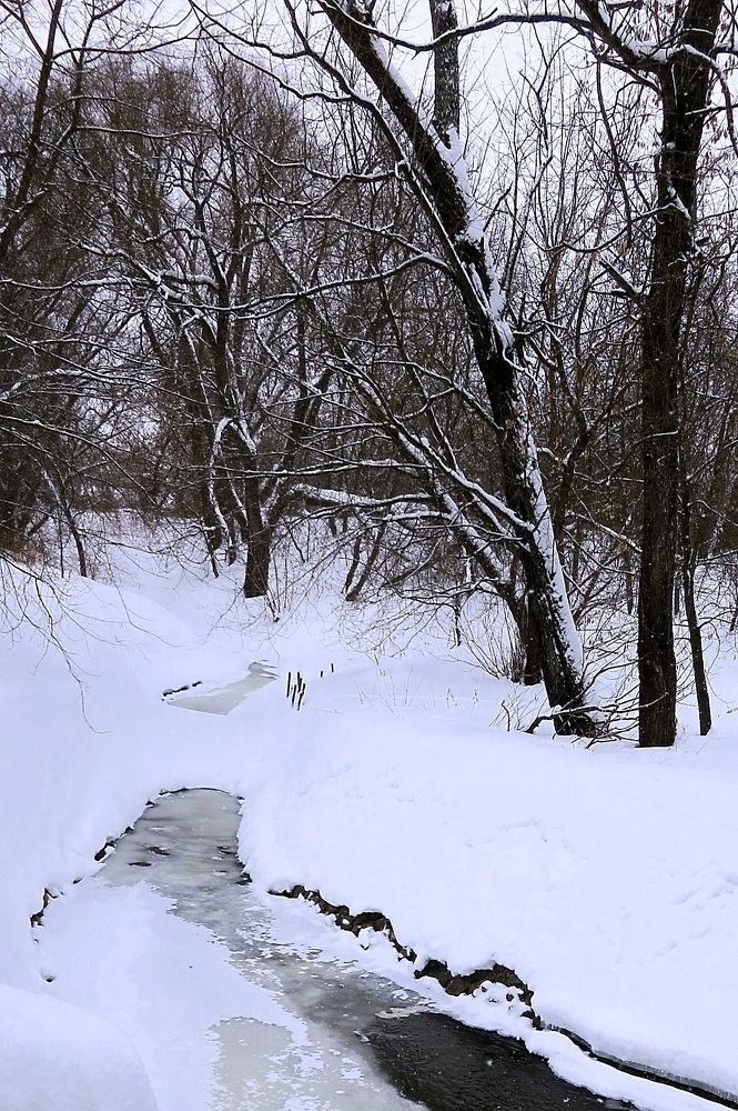 Photograph by Ирина Синягина