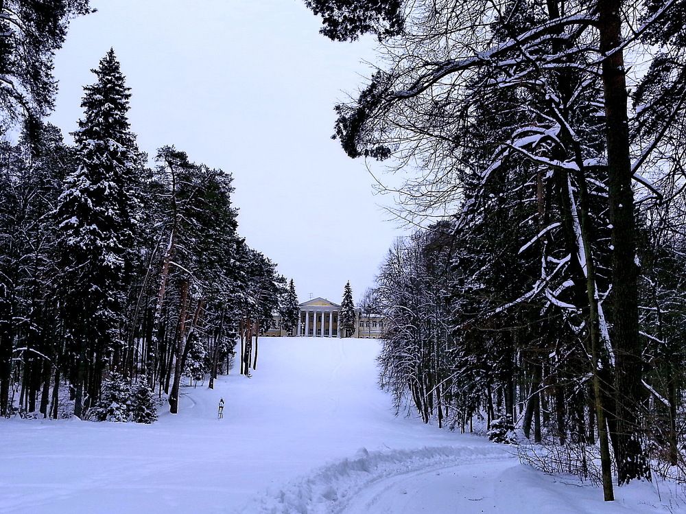 Photograph by Ирина Синягина