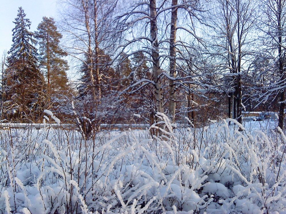 Photograph by Ирина Синягина