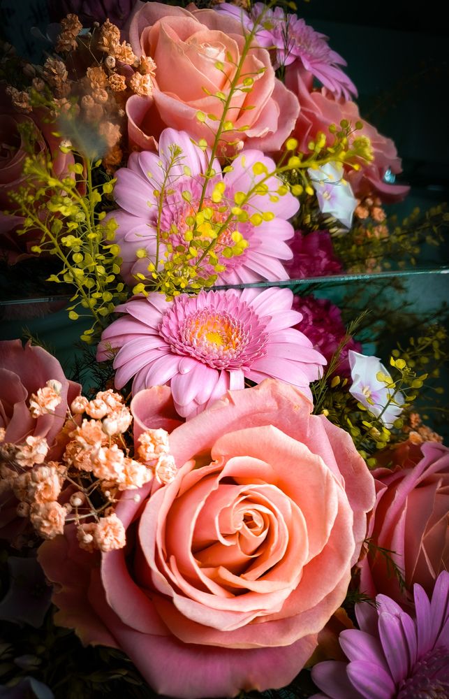 Photograph by sindrom777