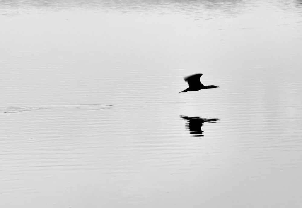 Photograph by Анатолий Костерев