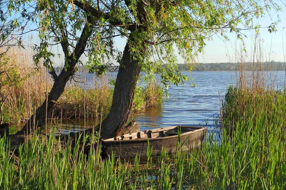 Старая лодочка.