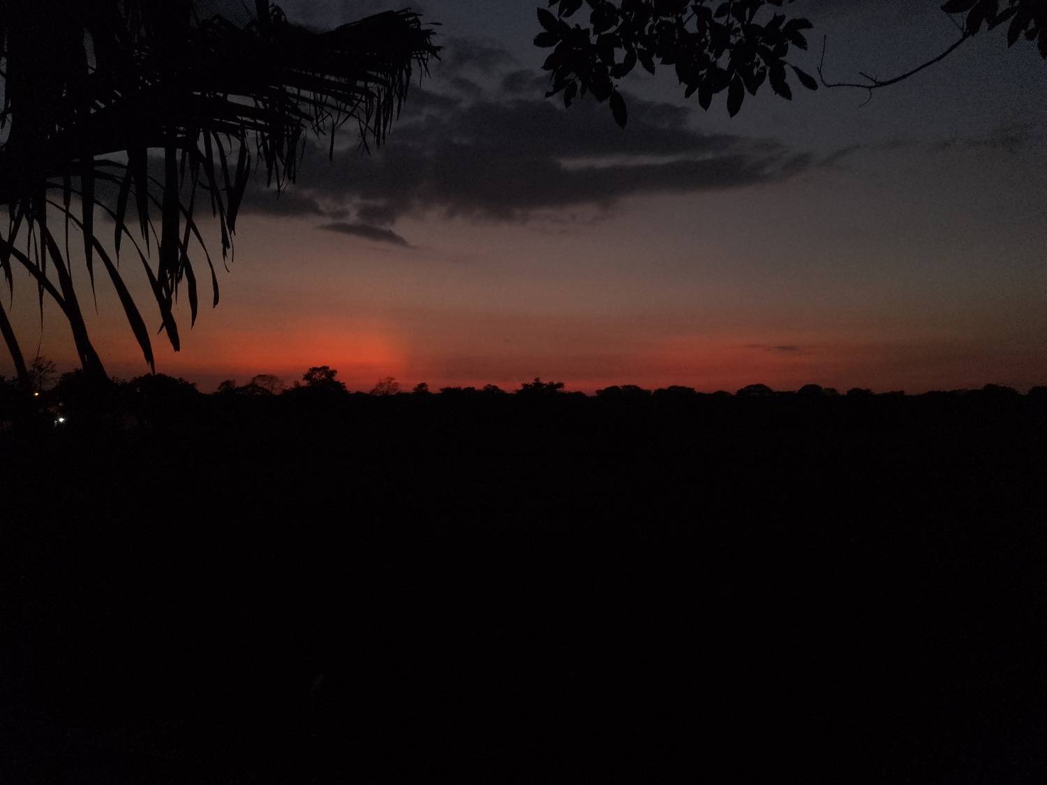 Photo #8595186