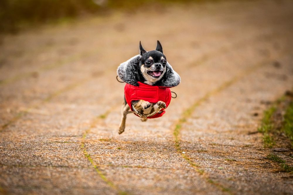 Photograph by Agnieszka Wieczorek