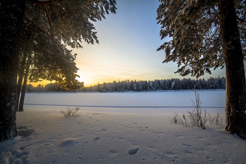 Photograph by Григорий Шишонков