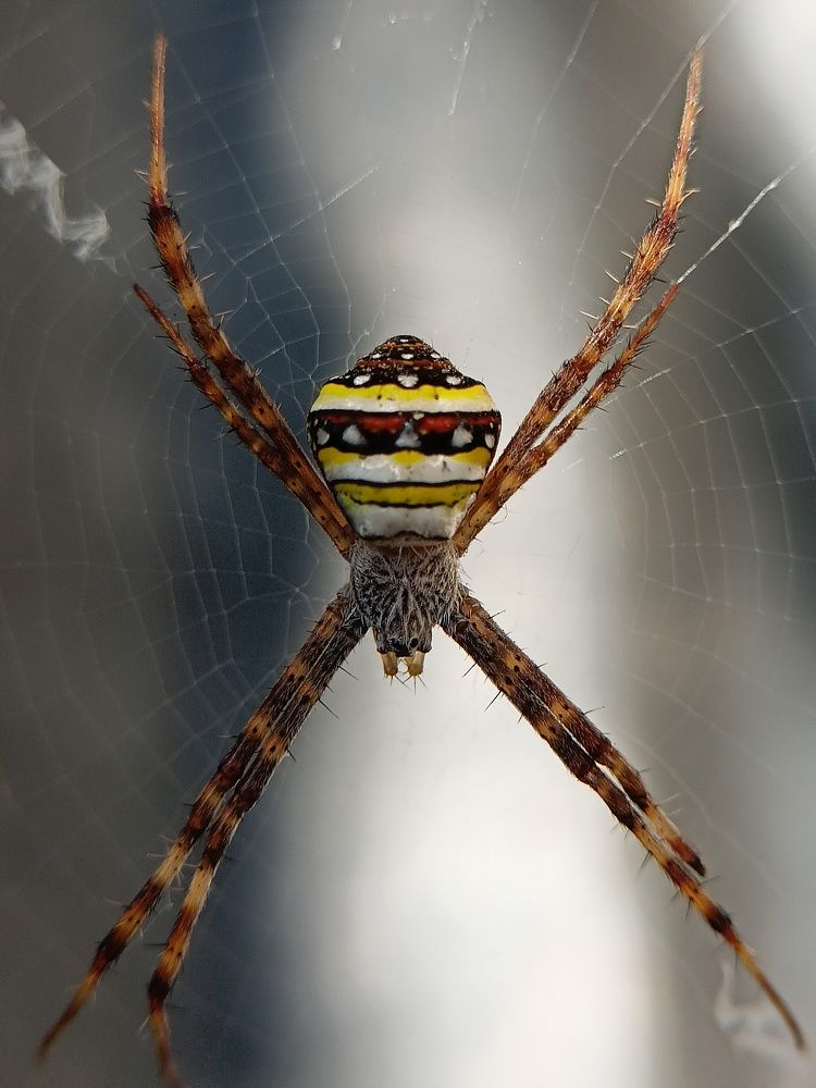 Photograph by RAHUL SEN