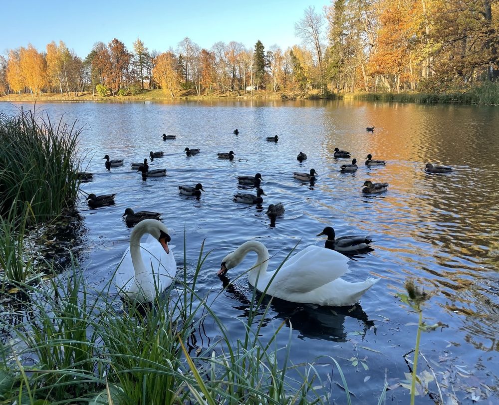 Photograph by Александра Кулеш