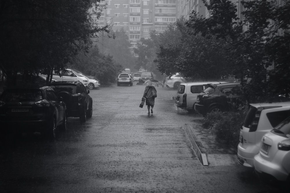 Photograph by Сергей