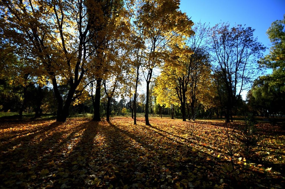 Photograph by Дмитрий Жуков