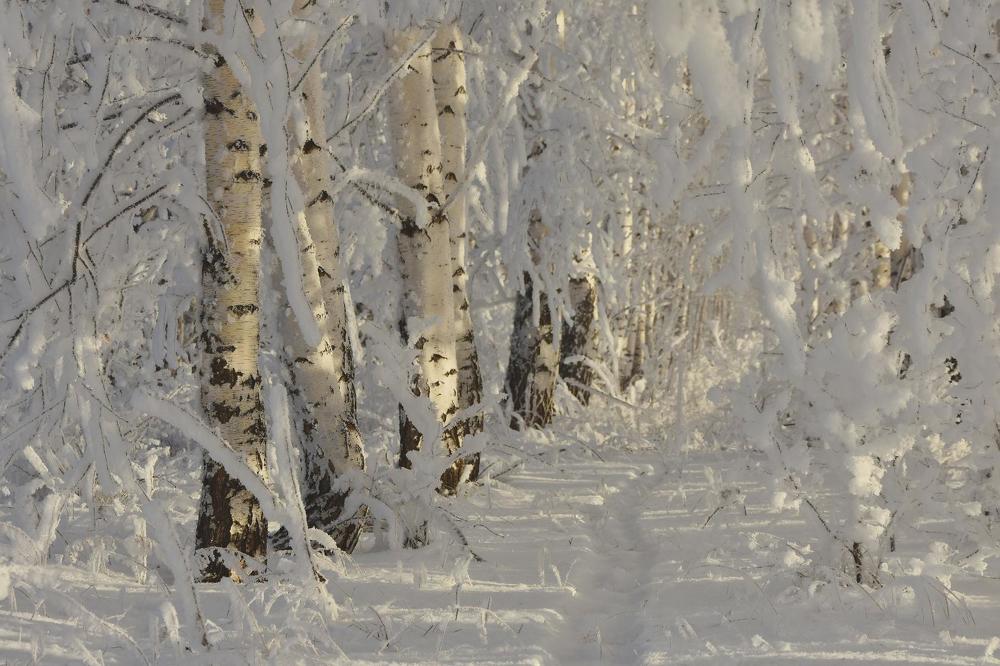 Photograph by Наталия Брянцева