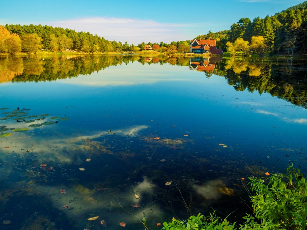 Фотография автора NECMETTİN SOBUTAY