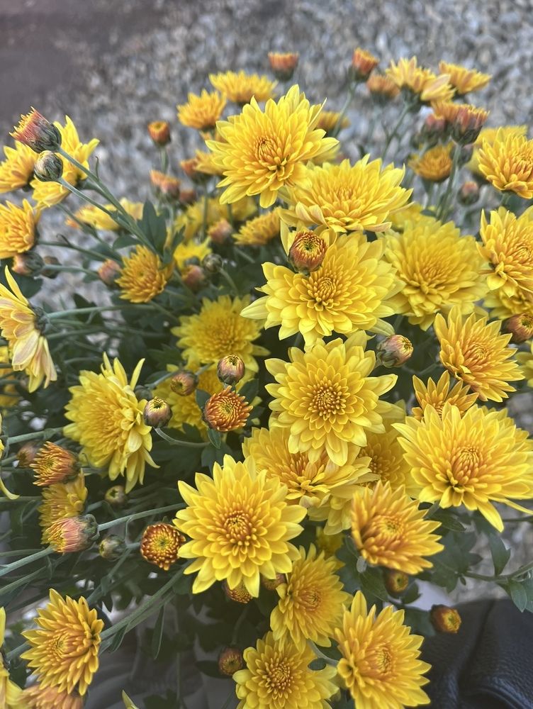 Photograph by Кристина