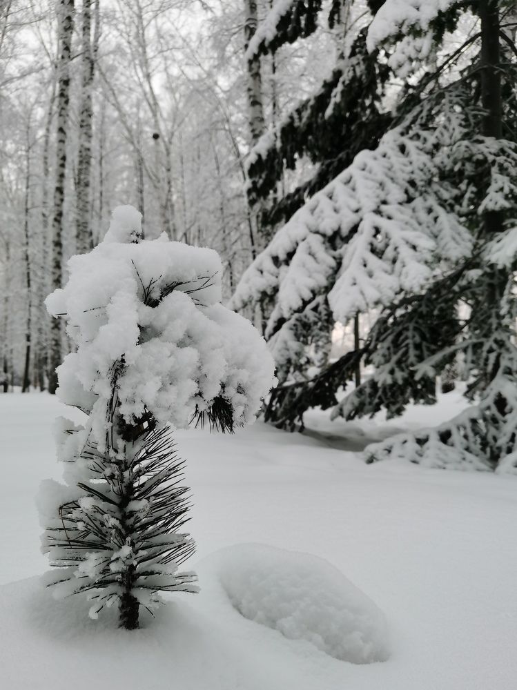 Photograph by Наталья Круглова