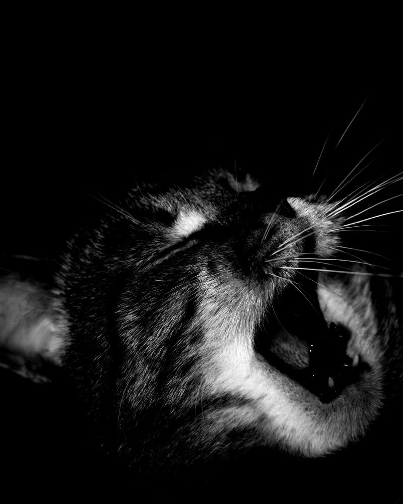 Photograph by Elena Lopatina