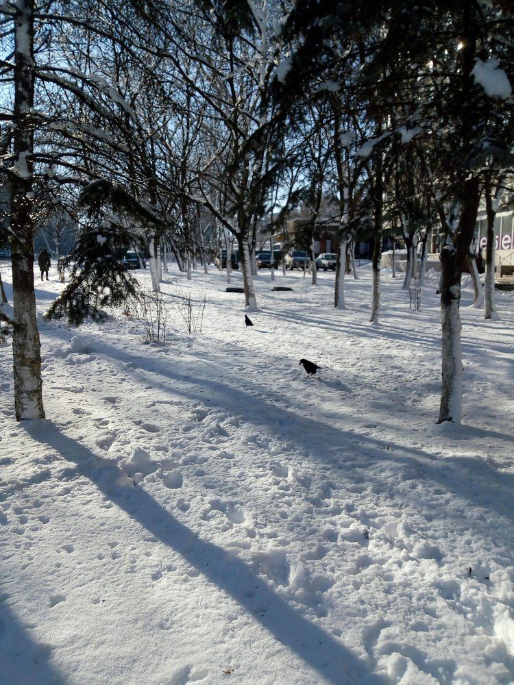 Photograph by Татьяна Пальчикова