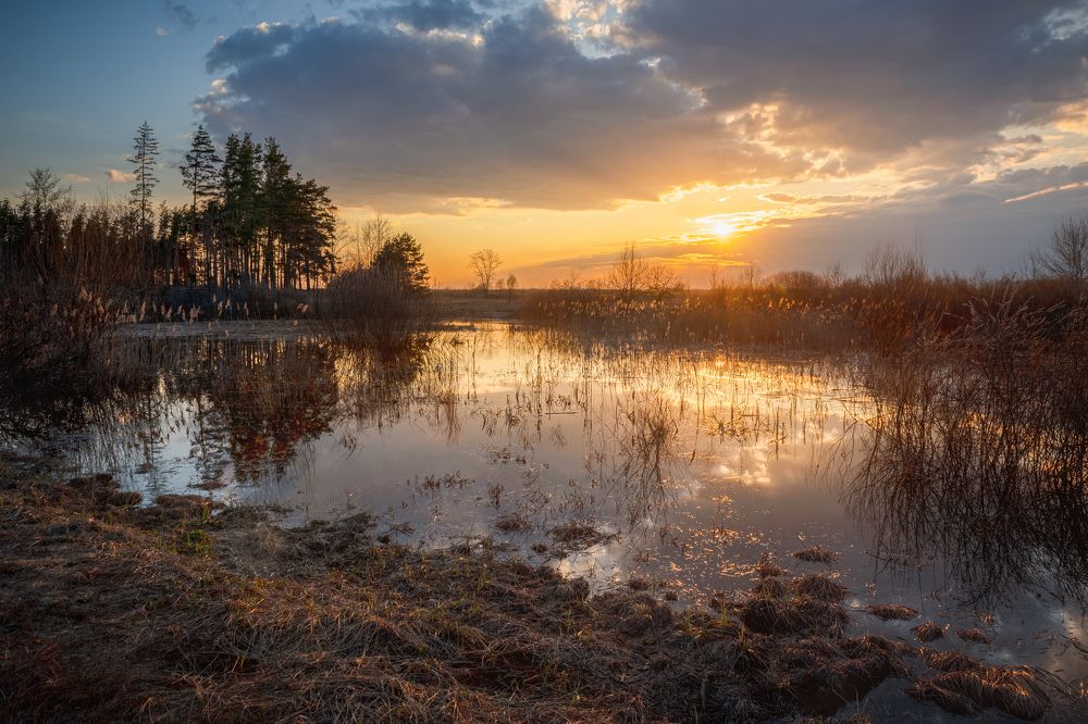 Photograph by Александр Мещеряков