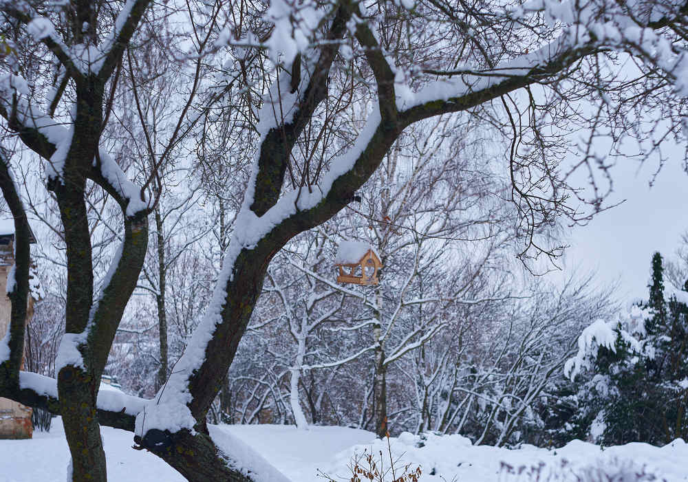 Photograph by Дмитрий Поляков