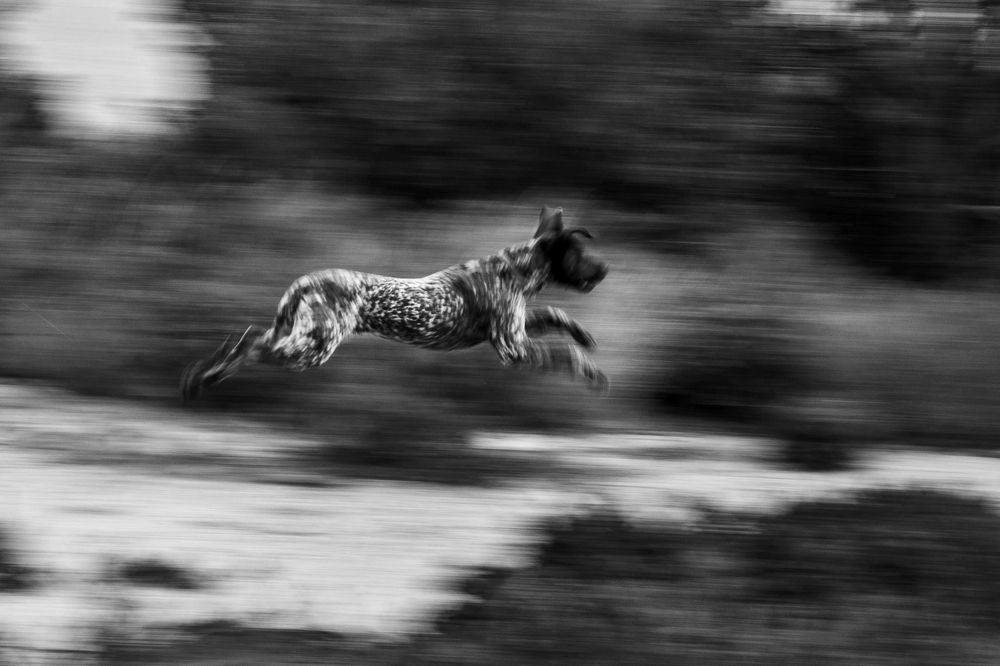 Photograph by Alexandra Sergeeva