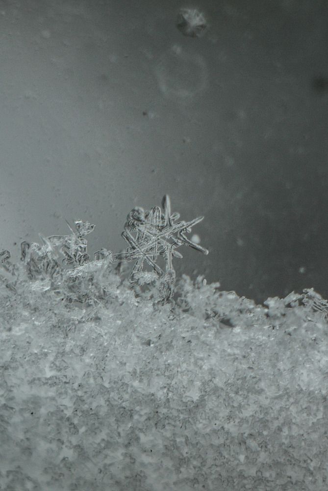 Photograph by Юлия Саморукова