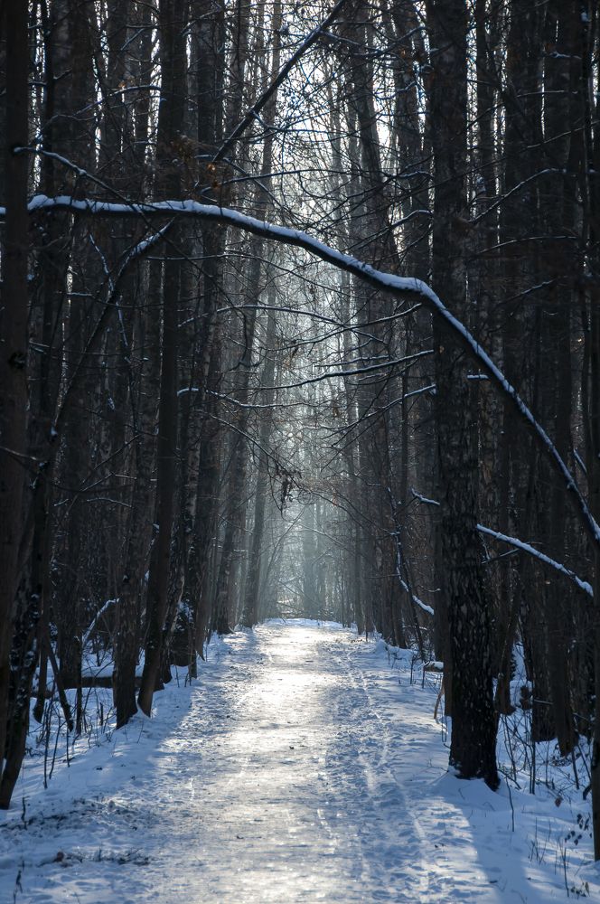 Photograph by Никита