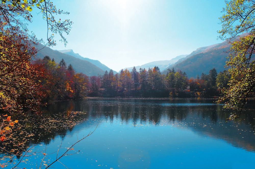 "Долина солнечного света"