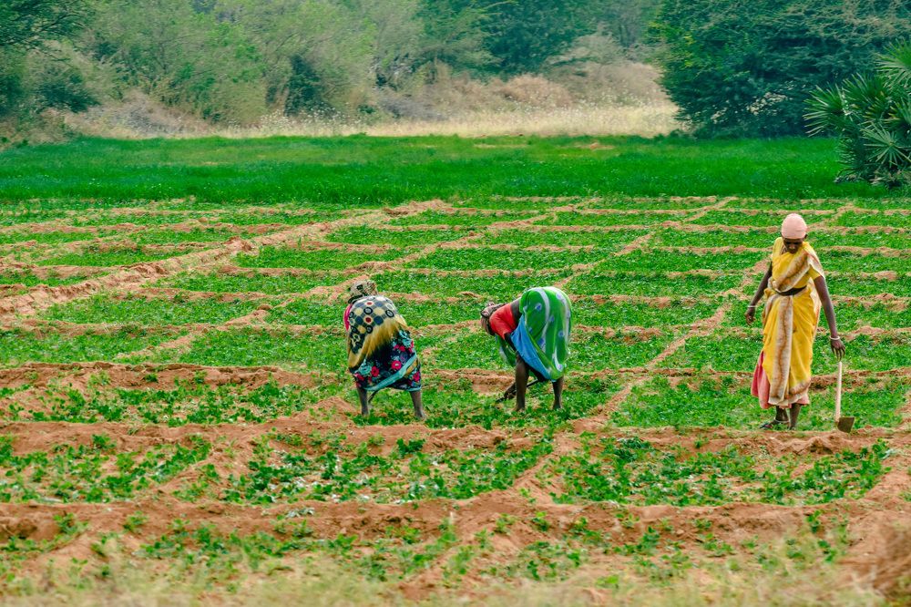 Фотография автора Sakthi Ganesh
