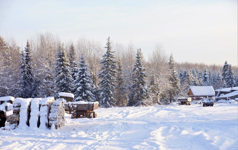 Photograph by Елена Титенская